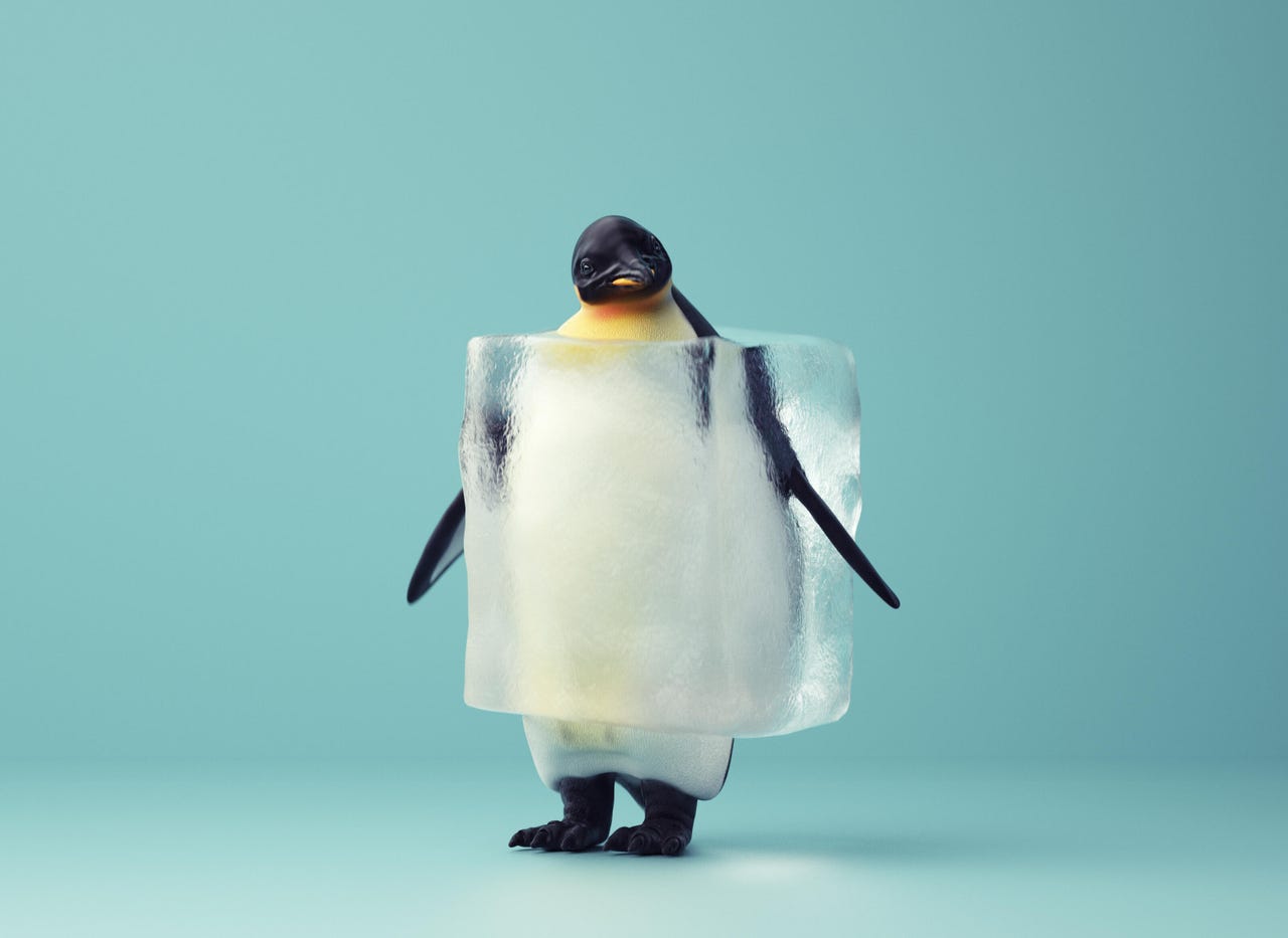 Penguin ice cube - stock photo